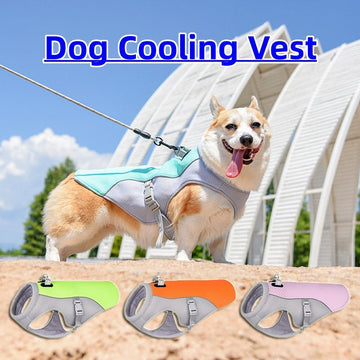 Dog Cooling Vest